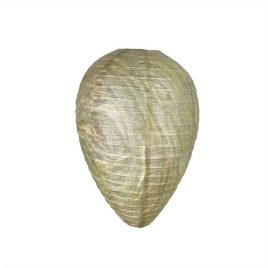 Capcană naturală pentru viespi