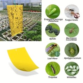 Hârtie lipicioasă pentru prins insecte, 10 buc.