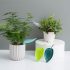 3 Pâlnii Creative în Formă de Scrisoare pentru Udarea Plantelor în Ghiveci