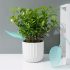 3 Pâlnii Creative în Formă de Scrisoare pentru Udarea Plantelor în Ghiveci