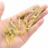 10 momeală de pescuit din silicon fosforescent cu cârlige -