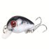 10 momeli de pescuit Minnow