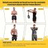 Ultra-Fortificator pentru Antebraț și Încheietură