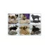 Perie de tuns blana pentru animale 10cm - câine, pisică, cal - perie de blană, trimmer, animale de companie, tuns blană