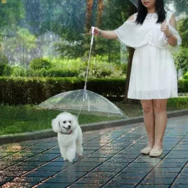 Umbrelă pentru câini cu lesă