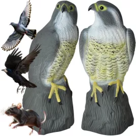 Sperietoare de păsări – șoim 23421