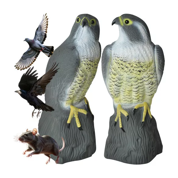 Sperietoare de păsări – șoim 23421