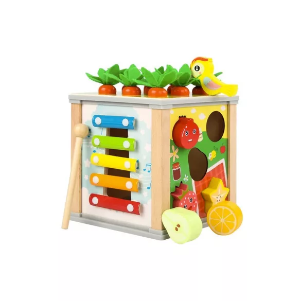 Cub educativ din lemn - sortator Kruzzel 22566