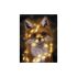 Pictură pe numere 40x50cm - Vulpe 22782