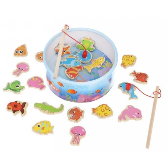 Joc de pescuit magnetic